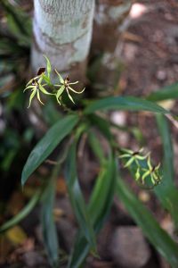 10014909_1444681019136044_3808410320556932015_o