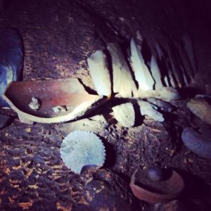 1003400_713455312008991_872071598_n