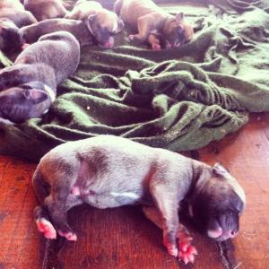 10176094_765269470160908_6384039447523935644_n