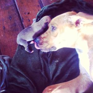 10246693_765269626827559_4859305120924779696_n