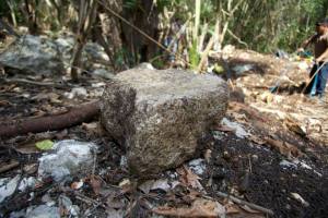 10251973_1419567018314111_1889517054139784126_n