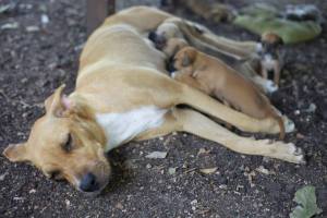 10270524_1422237661380380_6638515664762894261_n