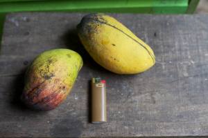 10342414_1434165196854293_1451026791619095105_n