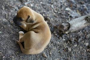 10357440_1422237871380359_4380910809788410296_n