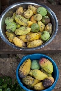 10371300_1434165153520964_932279244490208134_o