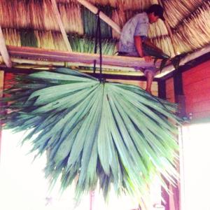 10388203_1432746386996174_2081557845584839897_n