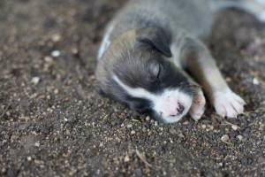 10403665_1422237988047014_7033600704874785094_n