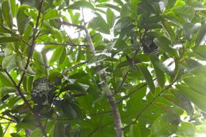 10426745_1434817416789071_4583619222543453245_n