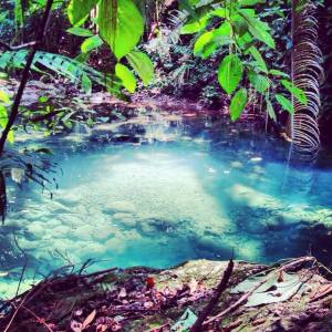 10428071_1435045143432965_2438960888185261613_n