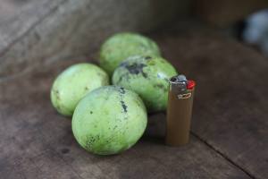 10429820_1434164980187648_4140220472079175905_n