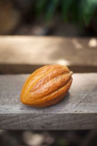 10450126_1444449629159183_53924556323635860_o