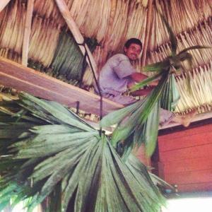 10450940_1432746413662838_770186137444075363_n