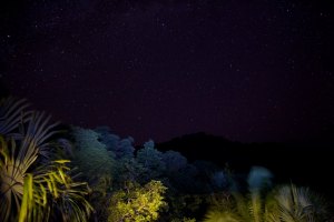 10455168_1442513009352845_7522109456088435820_n