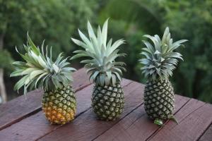 10457560_1436702376600575_1449636456121557772_n