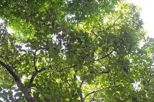 10459113_1436636169940529_26649779806515421_n