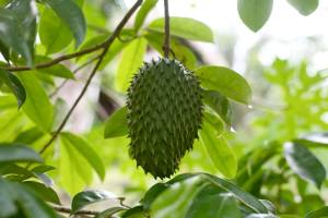 10474320_1434817390122407_5954916373228686958_n