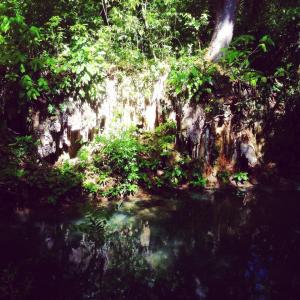 10477044_1439664056304407_6516233595293466018_n