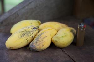 10479087_1434165056854307_69426682343127405_n