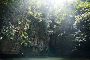 10482856_1446299708974175_5195280536463480448_n