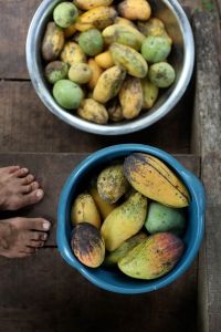 10495301_1434165150187631_6313457877378999890_o