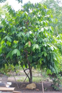 10504833_1444449919159154_3758075537508188791_o