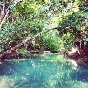 10532798_1439663979637748_6384791091660973746_n