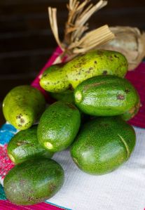 10542690_1443751232562356_6599782122483514689_o