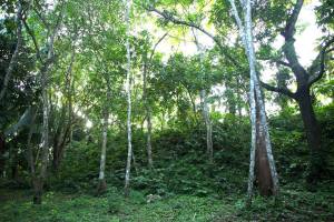 10577125_1457295454541267_4440103698774486960_n