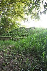 10620043_1457295384541274_5879248831498366897_o