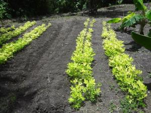 10628344_1461281450809334_9093573071982549841_n