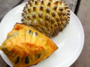 10690225_1466941340243345_7808545115605541666_n