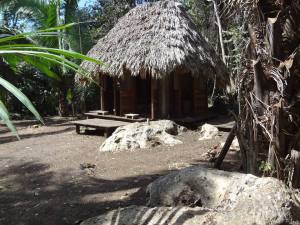 1525499_1404057496531730_1569136133_n