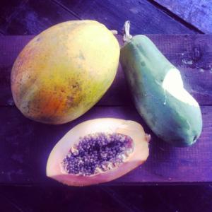 1782130_712487162105806_1496957865_n