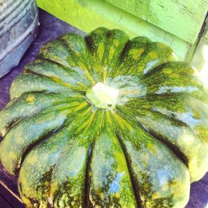 10653793_1501023593501786_7462218915372019706_n