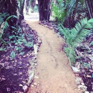 10428085_1521915041412641_4782749422256367304_n