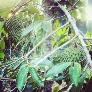 10671289_1515509722053173_7759925822482854376_n