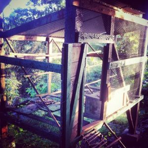 1508646_1515503202053825_2618054585556968988_n