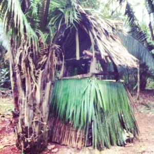 994107_1521915061412639_2883290128214031792_n