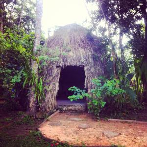 560222_916394831715037_1174053391673013249_n