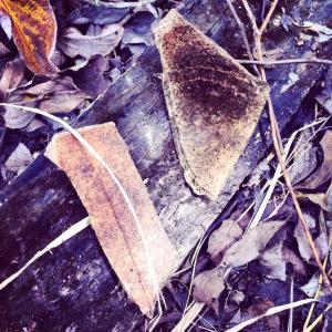 10346540_1535787113358767_1112456198070213103_n