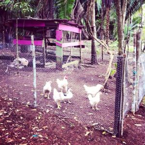 10481950_1535787513358727_7321144246338170670_n