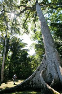 10547901_1537875069816638_640132948275747072_o