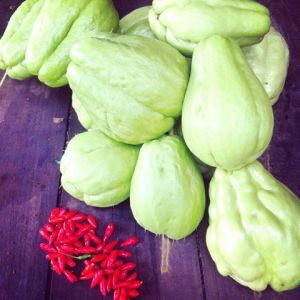 10868129_1536623883275090_913459724325188217_n