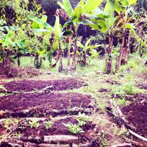 11001753_1535786203358858_3119764065386949964_n