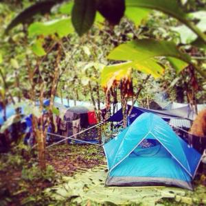 11018791_1539747619629383_7939101684500227716_n