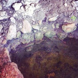 11021097_1535785196692292_6527842752178199780_n