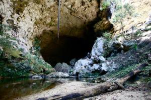 1534277_1537881909815954_2241445578460608693_n