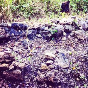 1613899_1535787046692107_7248963566000002957_n