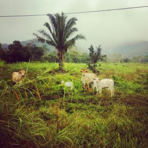 10345986_1551991988404946_2844167411992433676_n