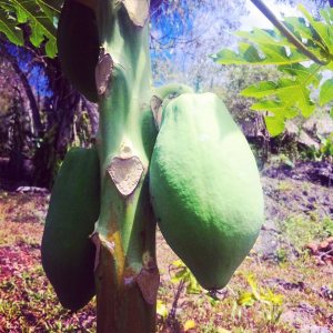 11081163_1552073055063506_176611960676252784_n